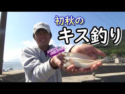 連掛けでキスの数釣り！まさかの高級なヤツも一緒に釣れたっ！