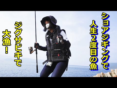 充実した秋の釣り!ショアジギング、ジグサビキ、泳がせ釣りを楽しむ!