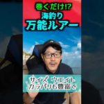 【釣り】海釣り 万能ルアー3選【とりあえず持っとけ】 #ショアジギング #釣り  #fishing  #釣り好き#アオリ #アジ