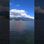 琵琶湖見えバス60UPが！！#バス釣り #バスフィッシング