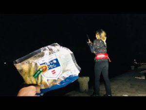 今日の夜はすごい！業スー冷凍イワシを投げるとまさかの釣果だった…