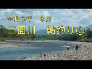 令和５年８月　三面川鮎釣り②