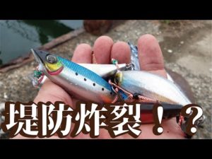 【堤防炸裂】各種ジグを７個同時に落すと次から次にデカ過ぎる魚が釣れる