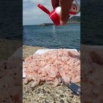 思いきり【味の素】とエビを海に流しサビキ釣りをしてみたら