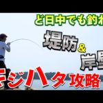 昼間にキジハタを釣る根魚攻略法！超ど日中は釣れないと思ってる【初心者必見】