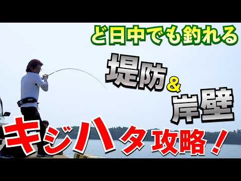 昼間にキジハタを釣る根魚攻略法！超ど日中は釣れないと思ってる【初心者必見】