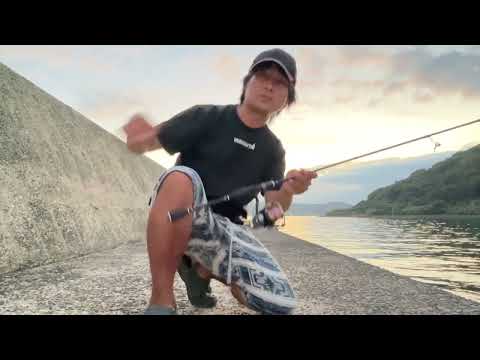 カメムシと羽蟻と戦いながら太刀魚テンヤ生配信やったら連発した！！！！