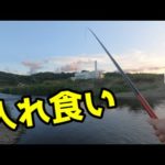 夕方に近所の多摩川で釣りしたら入れ食いだった