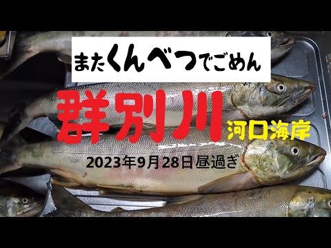 【海釣り】またまた群別でごめん。群別川河口海岸 2023年9月29日昼から夕方