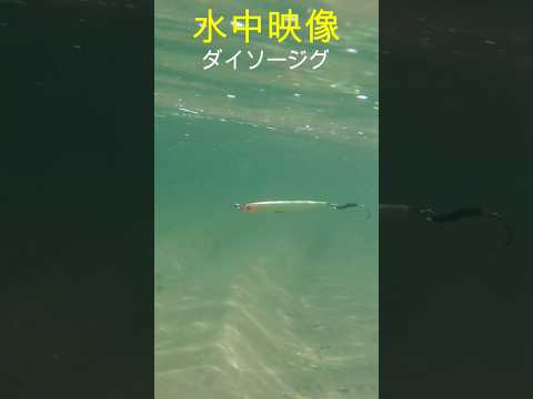 水中映像　DAISO JIG, JIG ROCK #fishing #釣り #ショアジギング