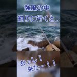 【ショアジギング】強風の中、釣りに行くと…。 #北九州釣り #釣り