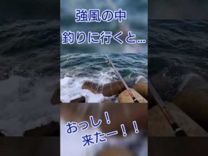 【ショアジギング】強風の中、釣りに行くと…。 #北九州釣り #釣り