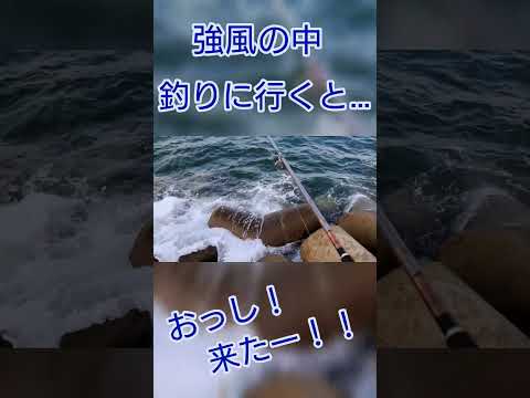 【ショアジギング】強風の中、釣りに行くと…。 #北九州釣り #釣り