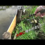 こんな隙間から大物が釣れた！！