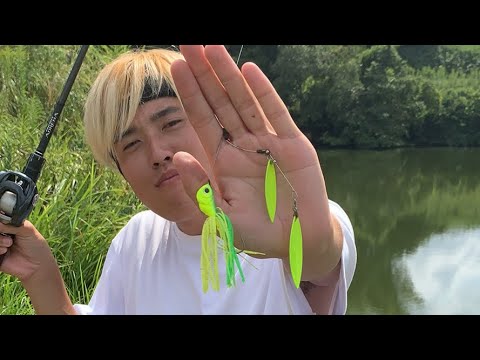スピナベでバス釣る奴が一番釣り上手い