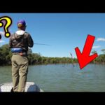 楽天で買えば数十万円する怪魚がAmazonで釣れたので、誰か査定してください。