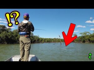 楽天で買えば数十万円する怪魚がAmazonで釣れたので、誰か査定してください。