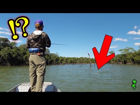 楽天で買えば数十万円する怪魚がAmazonで釣れたので、誰か査定してください。