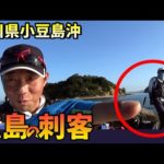 チヌ＆マダイ狙いでフカセ釣り勝負 in 香川県小豆島