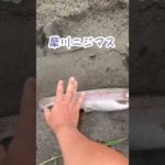 犀川ニジマス#shorts #渓流ルアーフィッシング #ニジマス釣り #トラウトルアー
