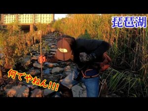 何でやねん!!! 【琵琶湖バス釣り】