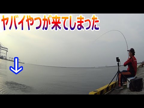 のんびり釣りをしていたらヤバイやつが来てしまった