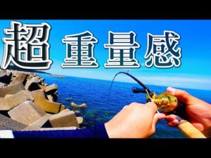 【穴釣り】重量感と体高がやばい魚が連発しました