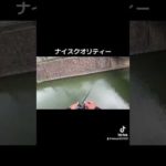 ナイスクオリティーのヨンパチ捕獲【衝撃映像】#shorts #柳川クリーク#バス釣り#브락크바스#버스 낚시#베스#bass fishing#bass#釣り#outdoors  #fishing