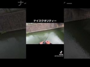 ナイスクオリティーのヨンパチ捕獲【衝撃映像】#shorts #柳川クリーク#バス釣り#브락크바스#버스 낚시#베스#bass fishing#bass#釣り#outdoors #fishing