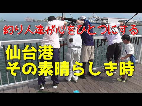【釣り場情報】仙台港の釣り人が協力して感動を上げた！
