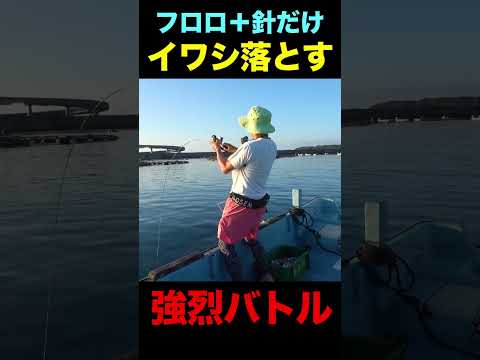 和歌山県串本のカセ釣り名物の完全フカセがヤバイ！#shorts  #釣り #fishing