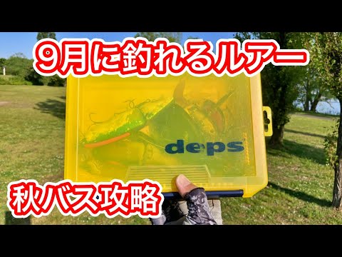 秋のデカバス爆釣！9月のバス釣りで絶対外せないおすすめルアーはコレだ！