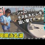 村田基×浜名湖チヌポゲーム 静岡県浜名湖 ポッパーを中心にシャローのチヌ＆キビレを狙い撃て！『魚種格闘技戦！174 』イントロver【釣りビジョン】その①