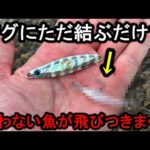 手持ちのジグに付けるだけで誰でもサーフ青物が釣れまくる「弓羽」がヤバかった…