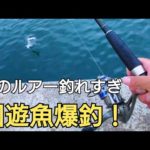 やっぱりこのルアーよく釣れる！夕方の時合いでダイソーワームで回遊魚大爆釣！