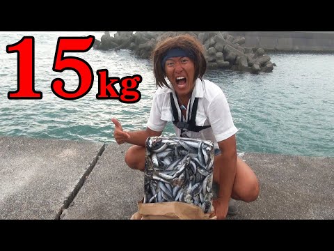 15kg分のイワシを撒いて釣りしてみた【ぶっこみ釣り】