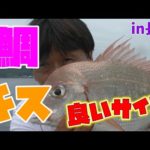 【投げ釣りでキスや鯛、イトヨリダイも！ジャックスパロウも】第19回ふぐ名人のダーツの釣り！【第2話】