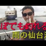 【仙台港釣り】サビキ針とサヨリ針合体で四種の魚をアッパる！