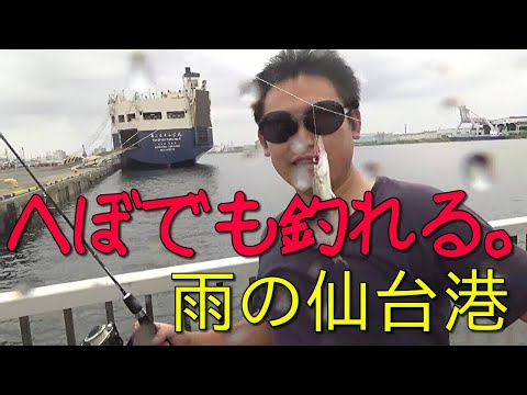 【仙台港釣り】サビキ針とサヨリ針合体で四種の魚をアッパる！