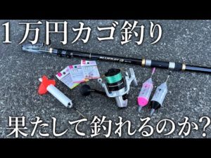 1万円で購入した激安の遠投カゴ釣りタックルと仕掛けで魚は釣れるのか？堤防で調査すると青物連発！