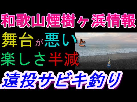 09-04 煙樹ヶ浜釣り情報・実釣編