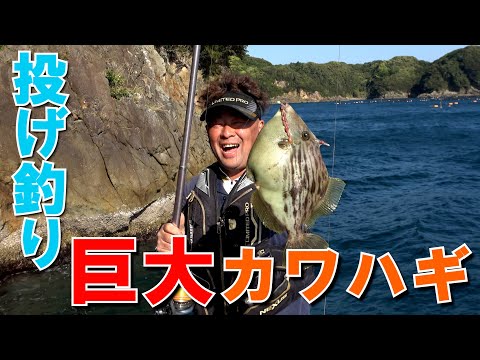 投げ釣りで狙う！串本の巨大カワハギ