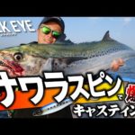 【ジャックアイ】新作・サワラスピンで爆釣キャスティング！in武庫川渡船チャーター便