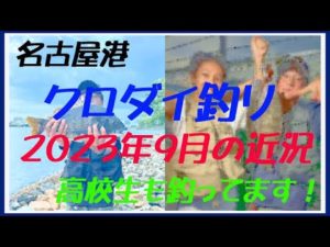2023年9月　名港クロダイ釣りの近況