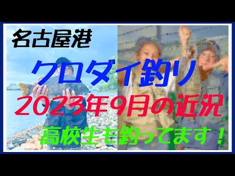 2023年9月　名港クロダイ釣りの近況