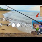 浅瀬に群れる「砂浜の女王」をアジングタックルとジグヘッドで釣りまくって車中晩餐会。