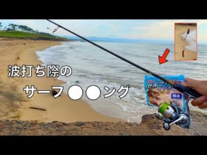 浅瀬に群れる「砂浜の女王」をアジングタックルとジグヘッドで釣りまくって車中晩餐会。