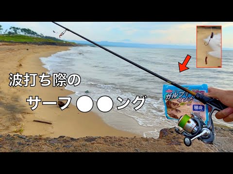 浅瀬に群れる「砂浜の女王」をアジングタックルとジグヘッドで釣りまくって車中晩餐会。