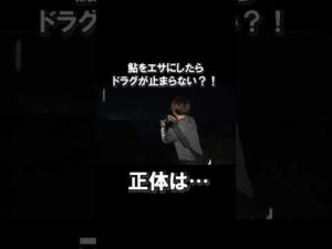 鮎を餌にブッ込み釣りしたら、まさかの大物が‼