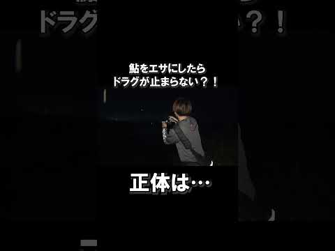 鮎を餌にブッ込み釣りしたら、まさかの大物が‼